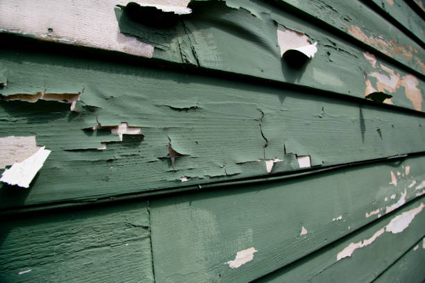 Best Commercial Junk Removal  in Gonzales, LA